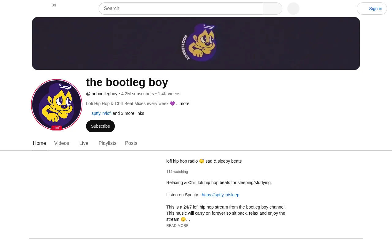 The the bootleg boy YouTube channel